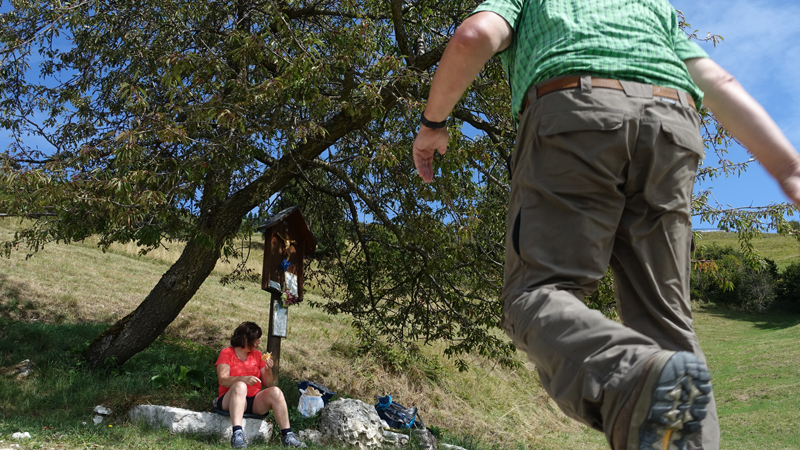 2017-09-04_121328 trentino-suedtirol-2017.jpg - Wanderung hoch ber dem Brentatal - Selfie :-)